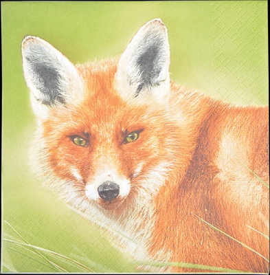 Servilletas de Papel Zorro 33x33cm